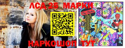 метадон Новодвинск